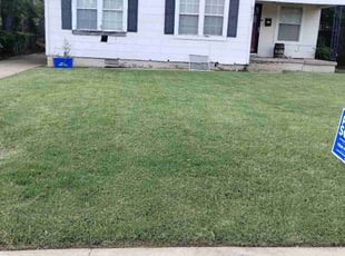Danielle S.'s lawn care services service result