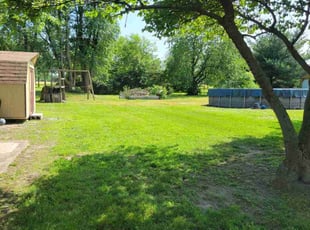 Vicki B.'s grass maintenance service result