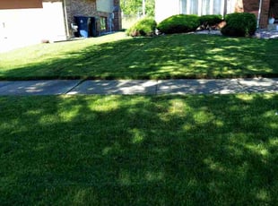 Cristian S.'s lawn service service result
