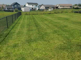 Jeremy M.'s turf care service result
