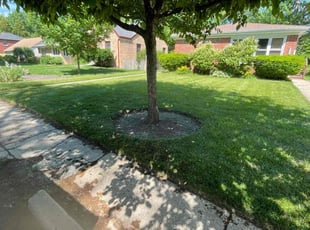 Kathy H.'s lawn maintenance service result