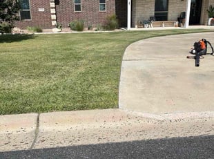 Terry S.'s lawn care service result