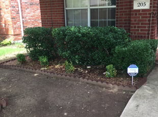 Jaye G.'s Bush Trimming service result