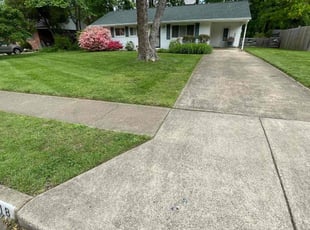 Kira G.'s turf care service result