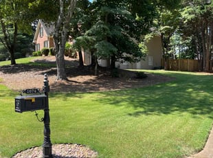 Corey H.'s turf maintenance service result