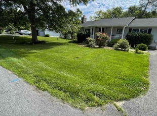 Ryan T.'s lawn care service result