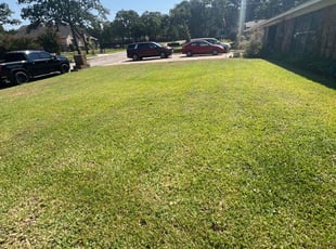 Monica J.'s turf maintenance service result