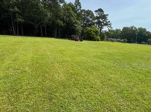 Jamie N.'s lawn maintenance service result
