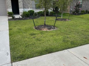 Michael J.'s lawn maintenance service result
