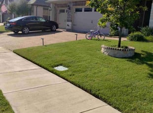 Debora G.'s lawn service service result
