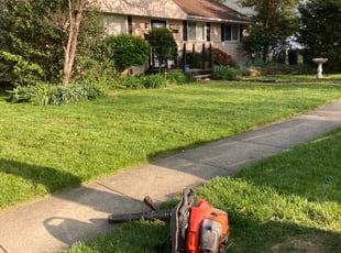 Gail F.'s lawn care service result