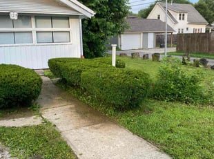Robert M.'s Bush Trimming service result