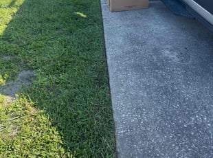 Isaac B.'s lawn service service result