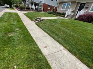 Elizabeth G.'s grass cutting service result