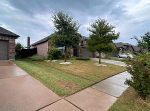 Matt M.'s lawn care services service result