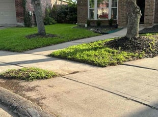 Mark J.'s lawn care service result