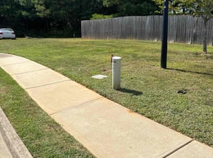Gail G.'s lawn care services service result