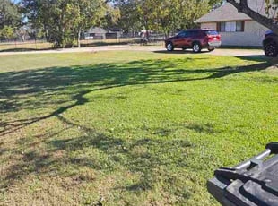 Kesha S.'s turf maintenance service result