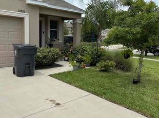 Patricia S.'s Weeding service result