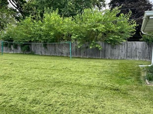 Steve U.'s lawn care services service result