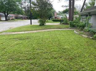 Dustin M.'s lawn service service result