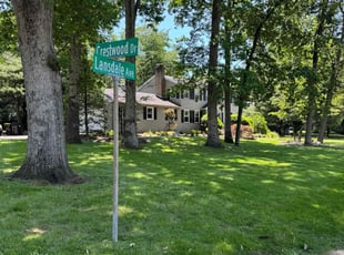 Felix D.'s grass cutting service result