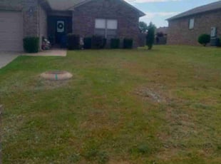 Kim C.'s Bush Trimming service result