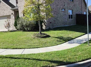 Reva I.'s turf maintenance service result