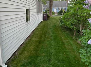 Paula W.'s lawn care service result