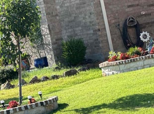 William G.'s lawn service service result