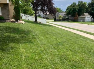 Roy B.'s lawn care service result