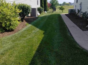 Leon G.'s lawn maintenance service result