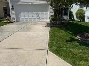 Andrew F.'s lawn care services service result