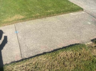 Corey H.'s turf maintenance service result