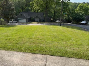 Tyler R.'s turf maintenance service result