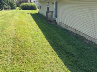 Margie S.'s grass maintenance service result