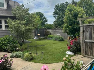 Kim B.'s lawn care service result