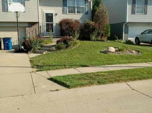 Angela J.'s grass maintenance service result