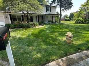 Elaine B.'s lawn care services service result