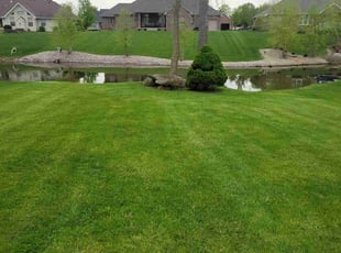 Peter D.'s turf care service result