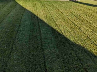 Mary R.'s grass maintenance service result