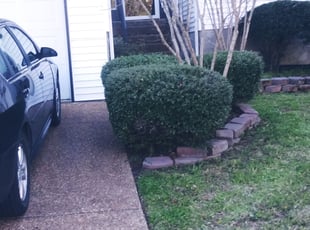 Makalah P.'s Bush Trimming service result