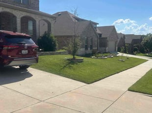 Patrick H.'s grass maintenance service result