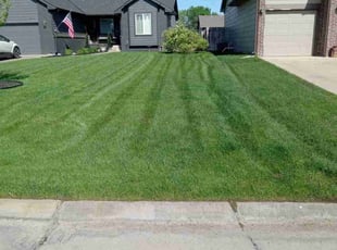 Angel O.'s grass maintenance service result