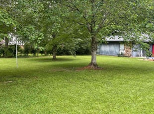 Betsy A.'s lawn care services service result