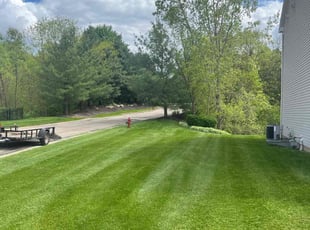 Sunil S.'s turf maintenance service result
