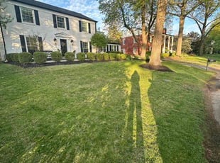 Amanda H.'s lawn service service result