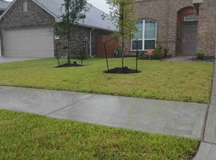 Zoe P.'s lawn care service result