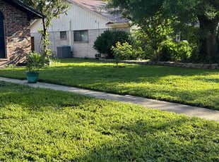 Roberta B.'s lawn care services service result