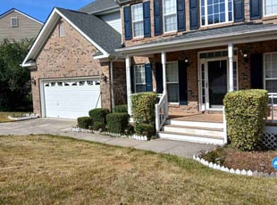 Patrick B.'s turf care service result